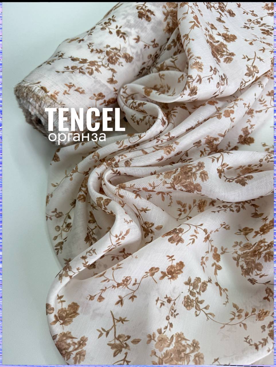 карамельный вьюнок photo_2026-04-28_16-03-18