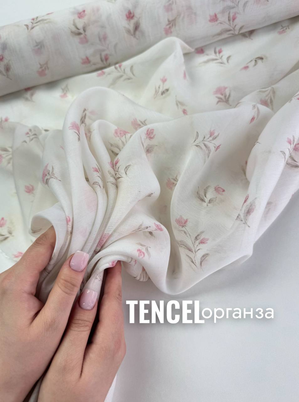 Тюльпаны photo_2026-04-28_17-55-39