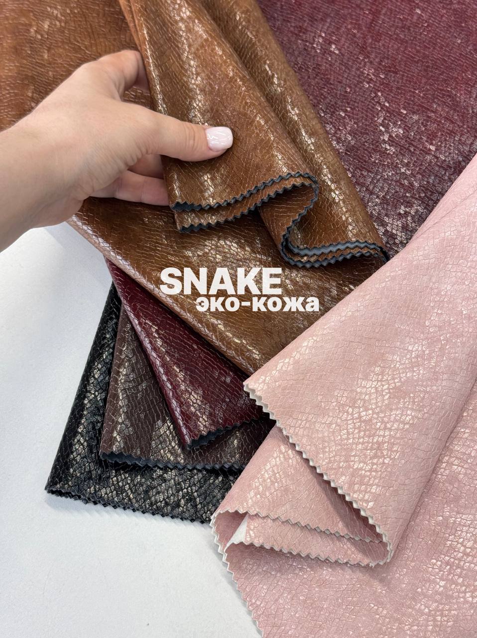 SNAKE photo_2026-07-16_19-40-57