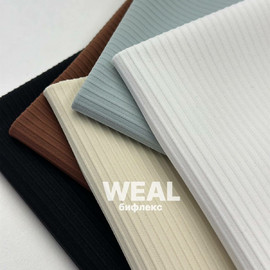 WEAL photo_2026-08-12_13-08-25