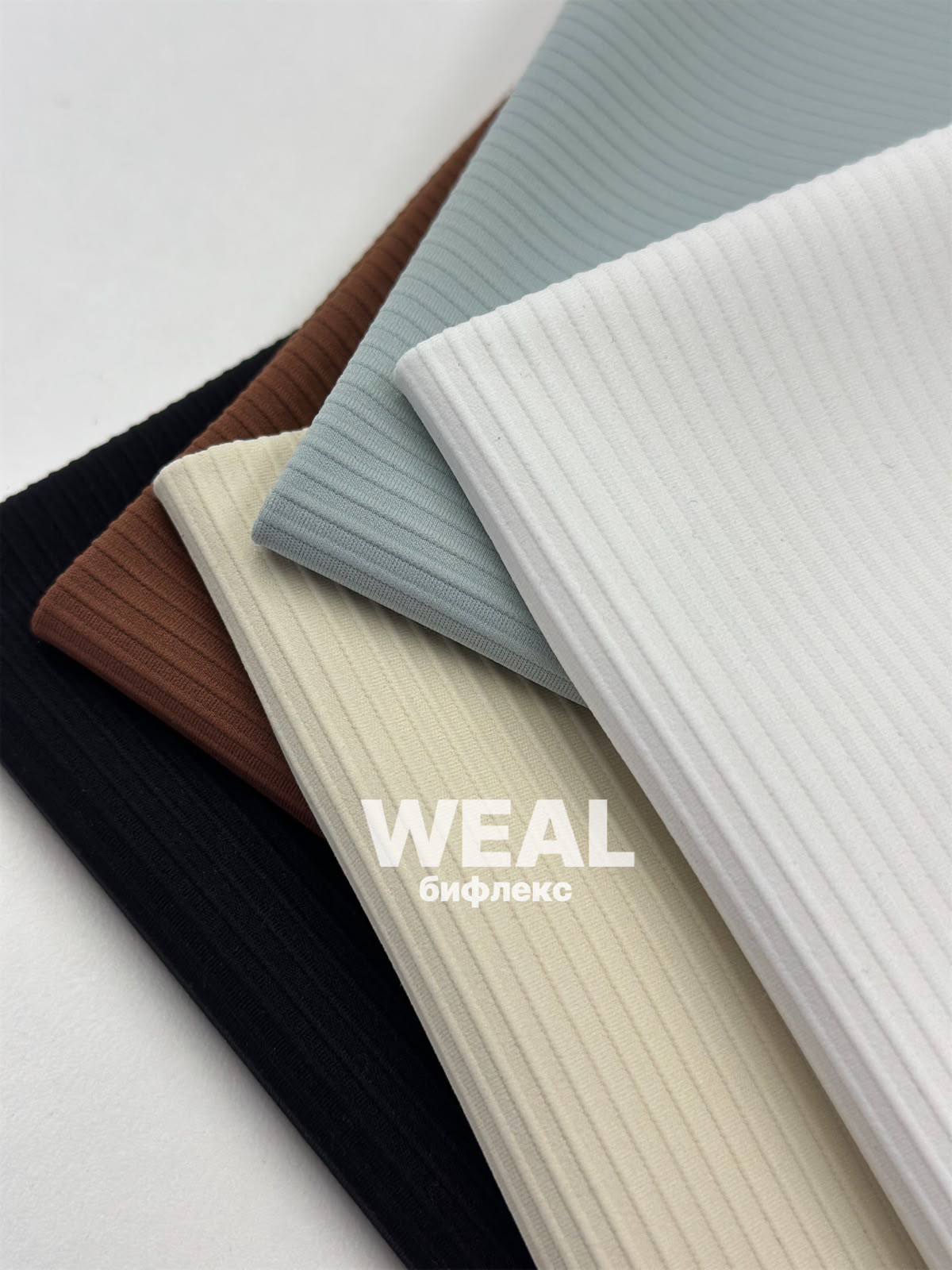 WEAL photo_2026-08-12_13-08-25