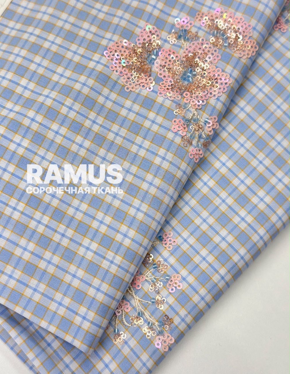 RAMUS photo_2026-08-20_11-58-52