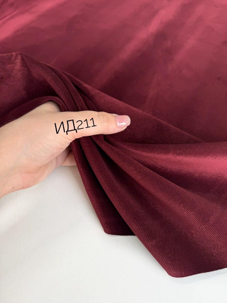 VELVET photo_2026-08-21_13-28-37