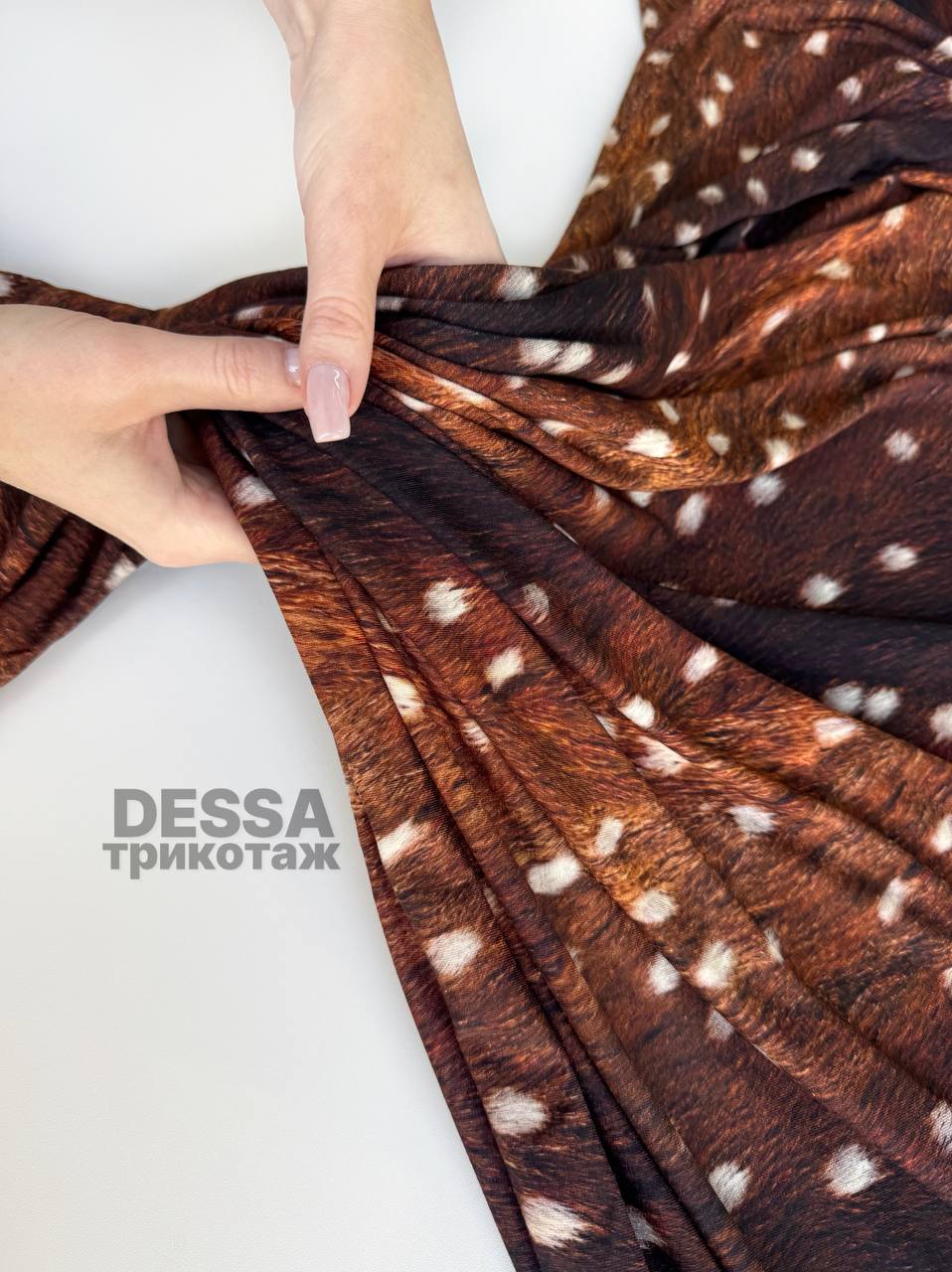 DESSA photo_2026-08-28_16-14-33
