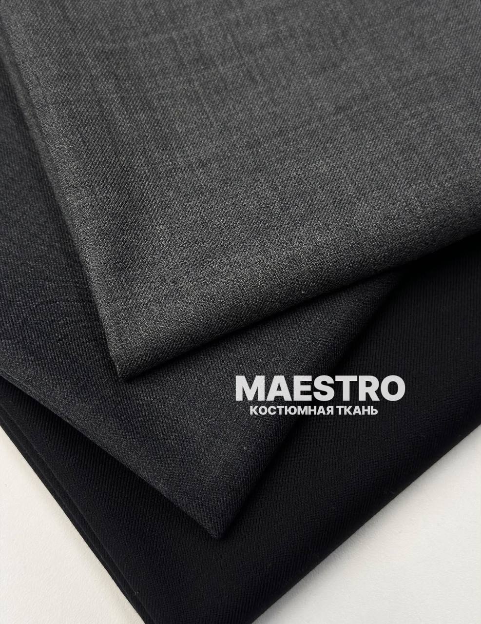 MAESTRO photo_2026-09-17_17-13-11
