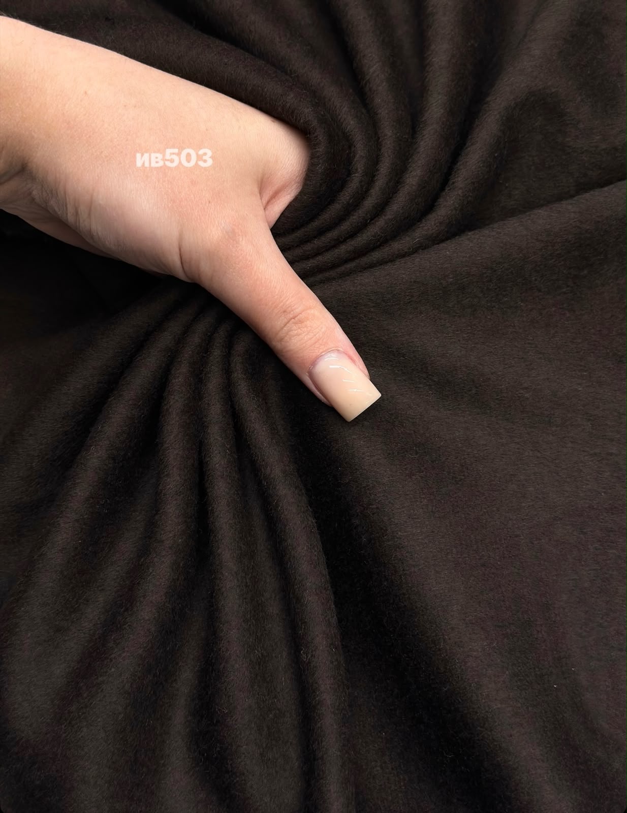 COAST 61318452-7fb4-4368-9a92-f64187d7628e