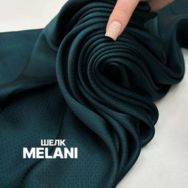 MELANI photo_2026-10-12_10-08-20