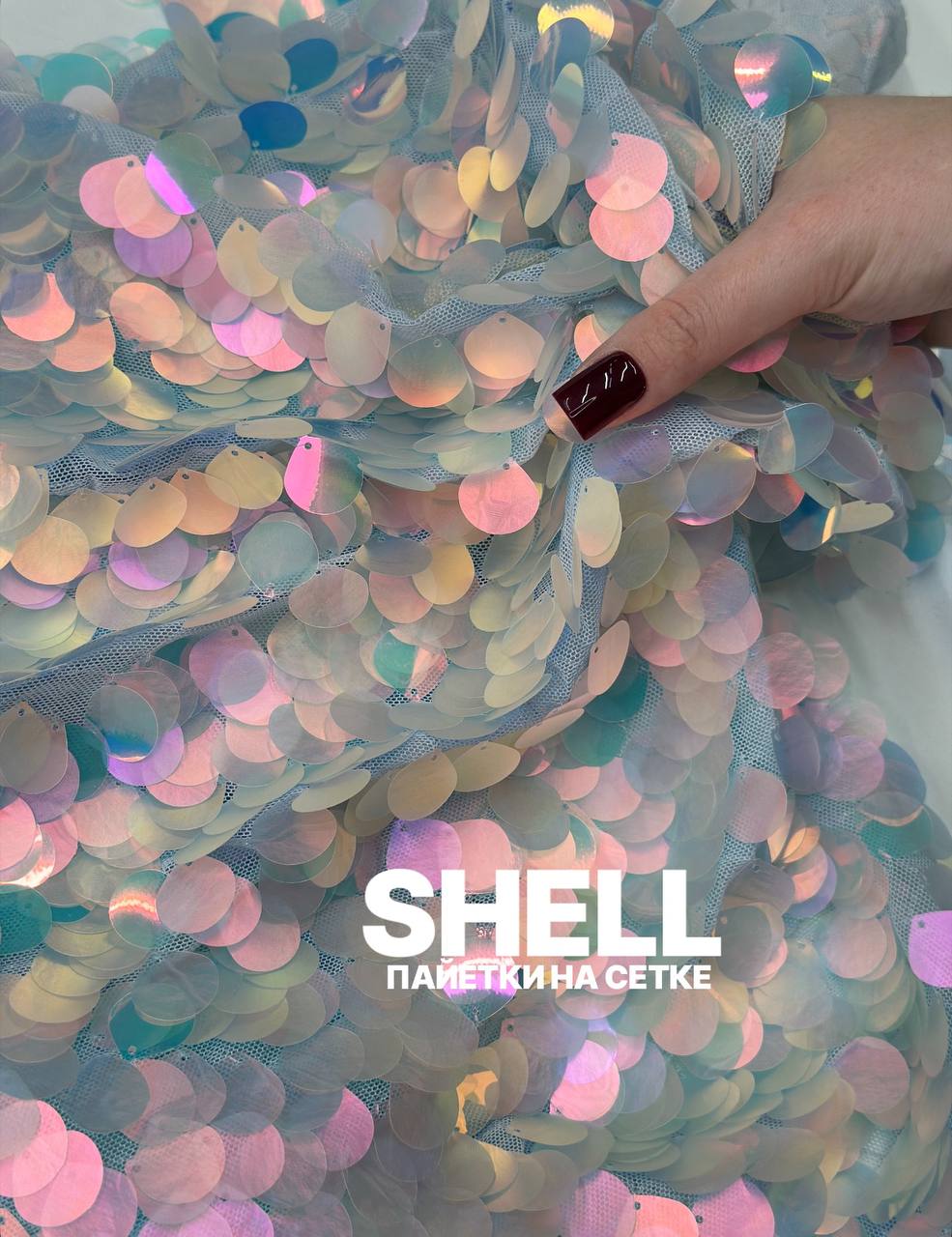 SHELL photo_2026-10-22_11-55-03