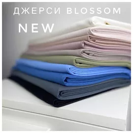 Бордо file20200626033045_1788692417-7