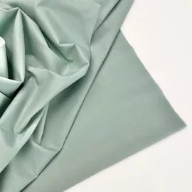 Ива