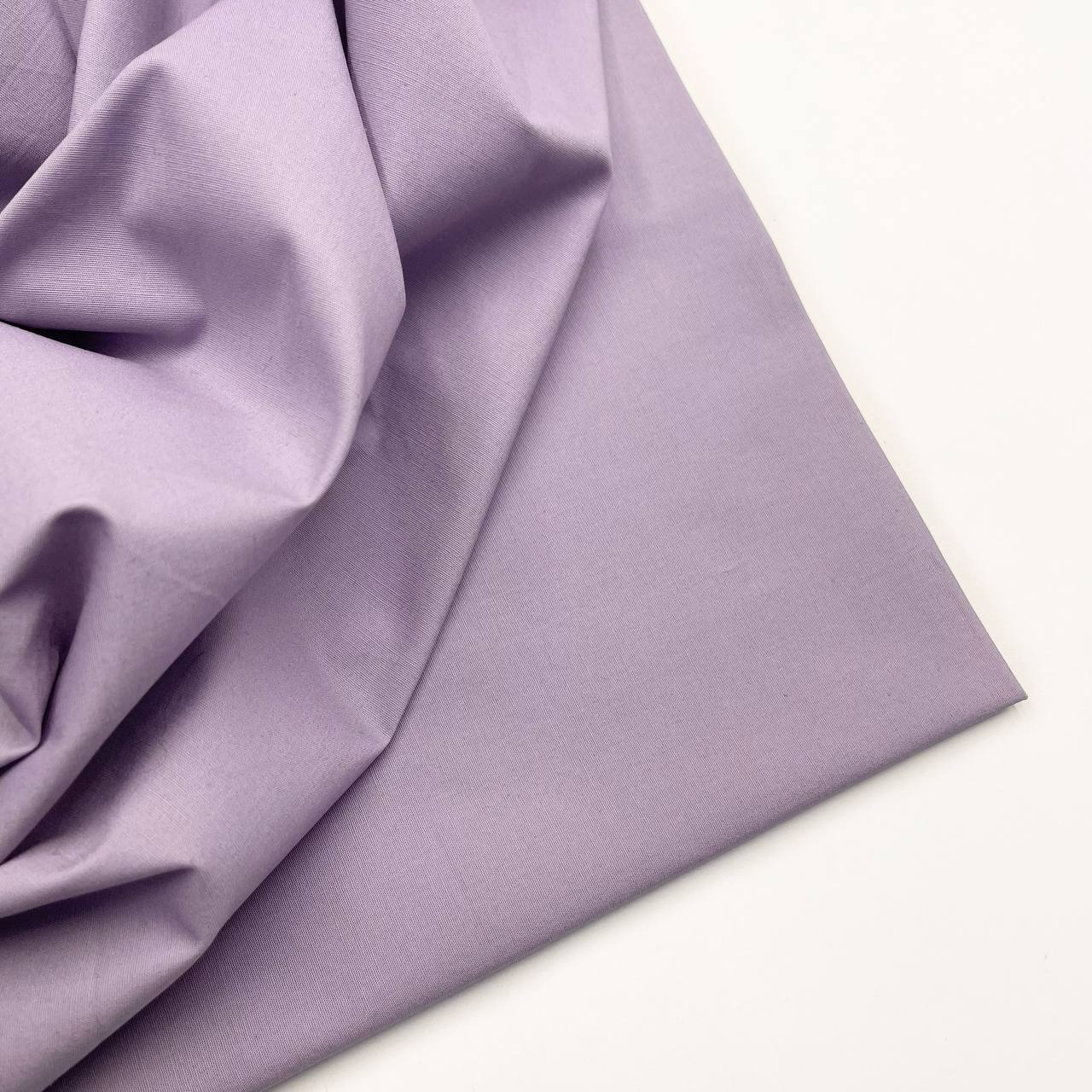 photo_2026-02-16_11-18-14