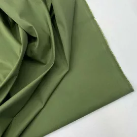 Папоротник