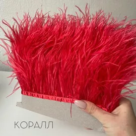 Кр.Корраловый