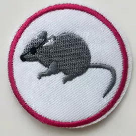 Мышка
