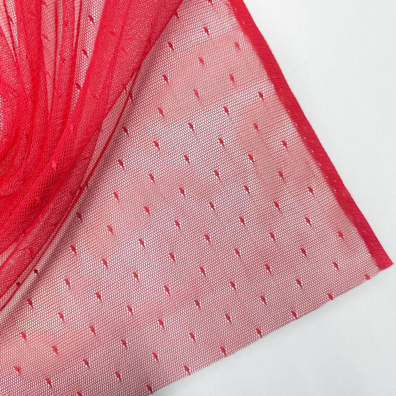 photo_2025-11-24_11-44-05