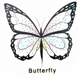 Мультиколор