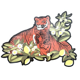 Мультиколор