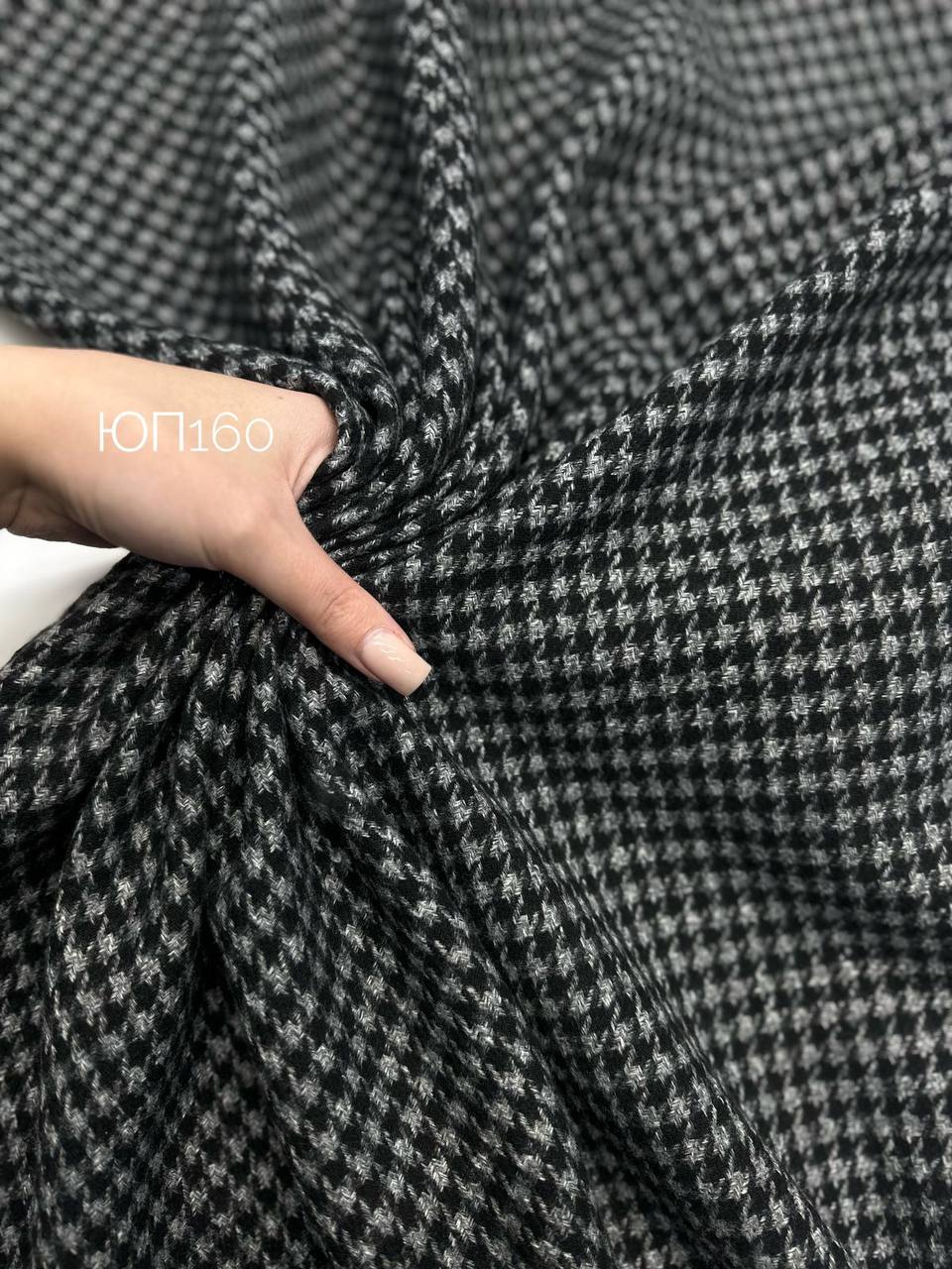 photo_2025-12-10_12-30-28