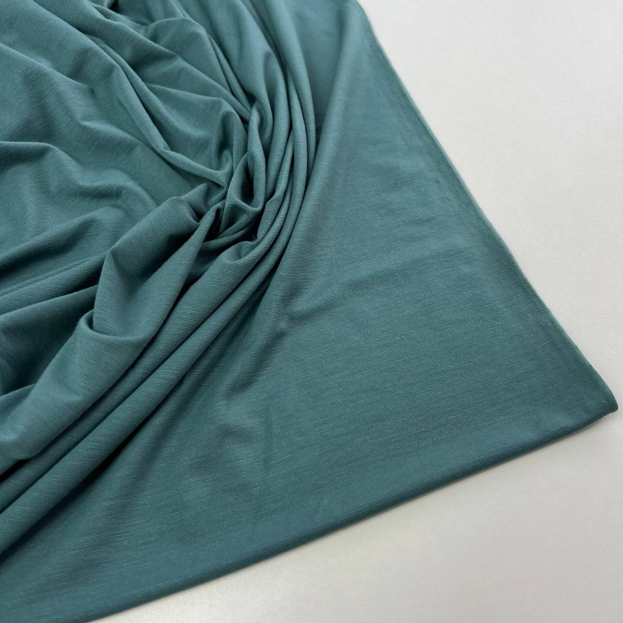 photo_2025-12-24_12-18-20