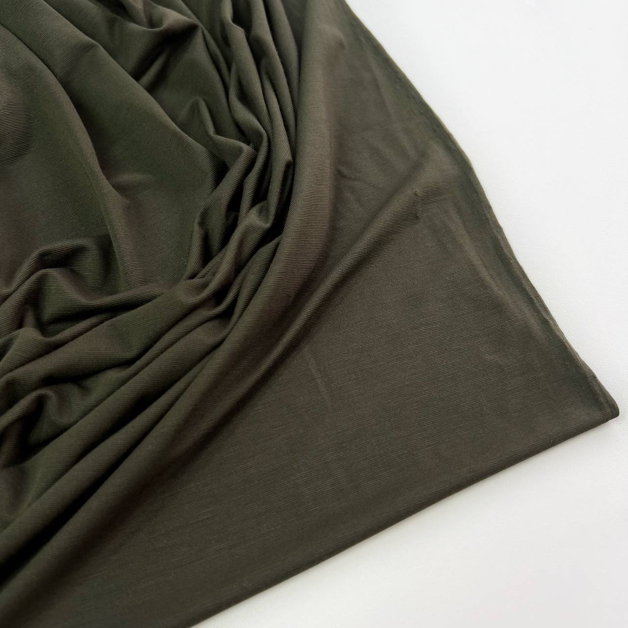 photo_2025-12-24_12-18-19