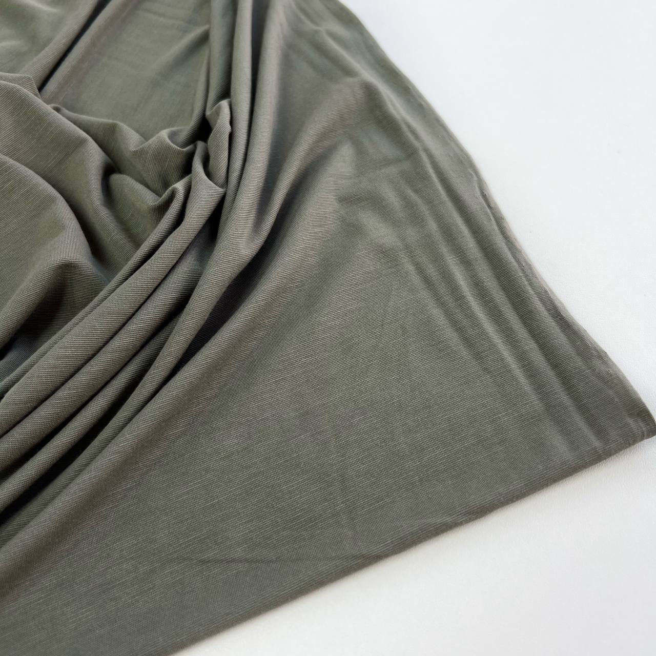 photo_2025-12-24_12-18-25