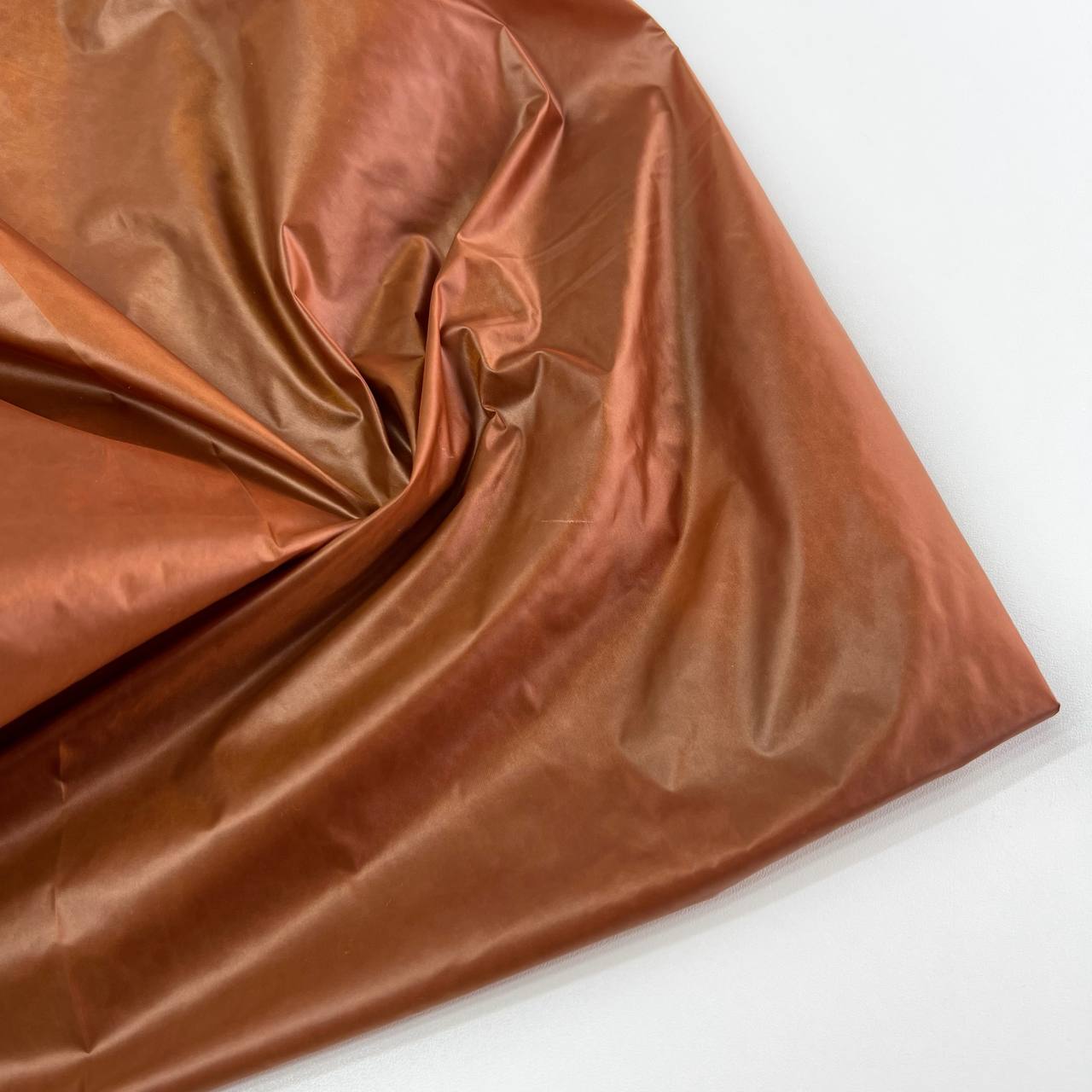 photo_2026-01-15_12-26-16