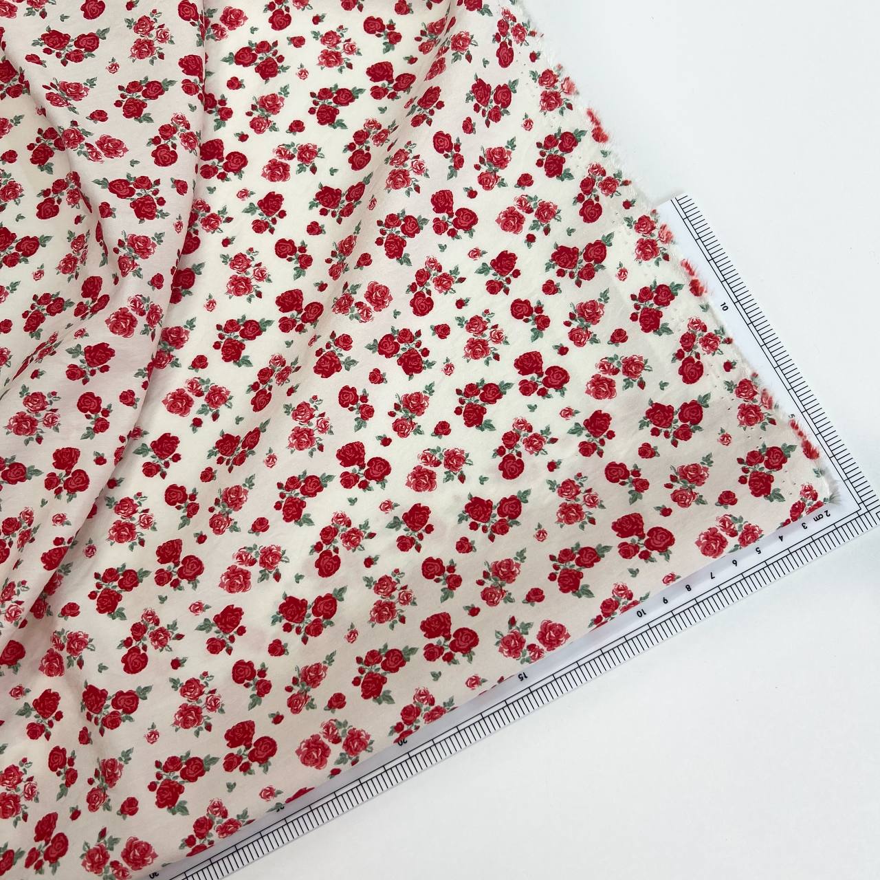 photo_2026-01-20_11-12-45