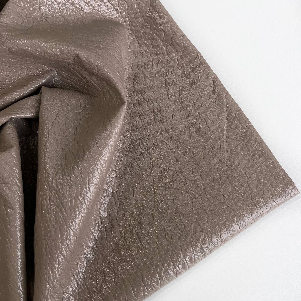 photo_2026-01-26_14-08-16