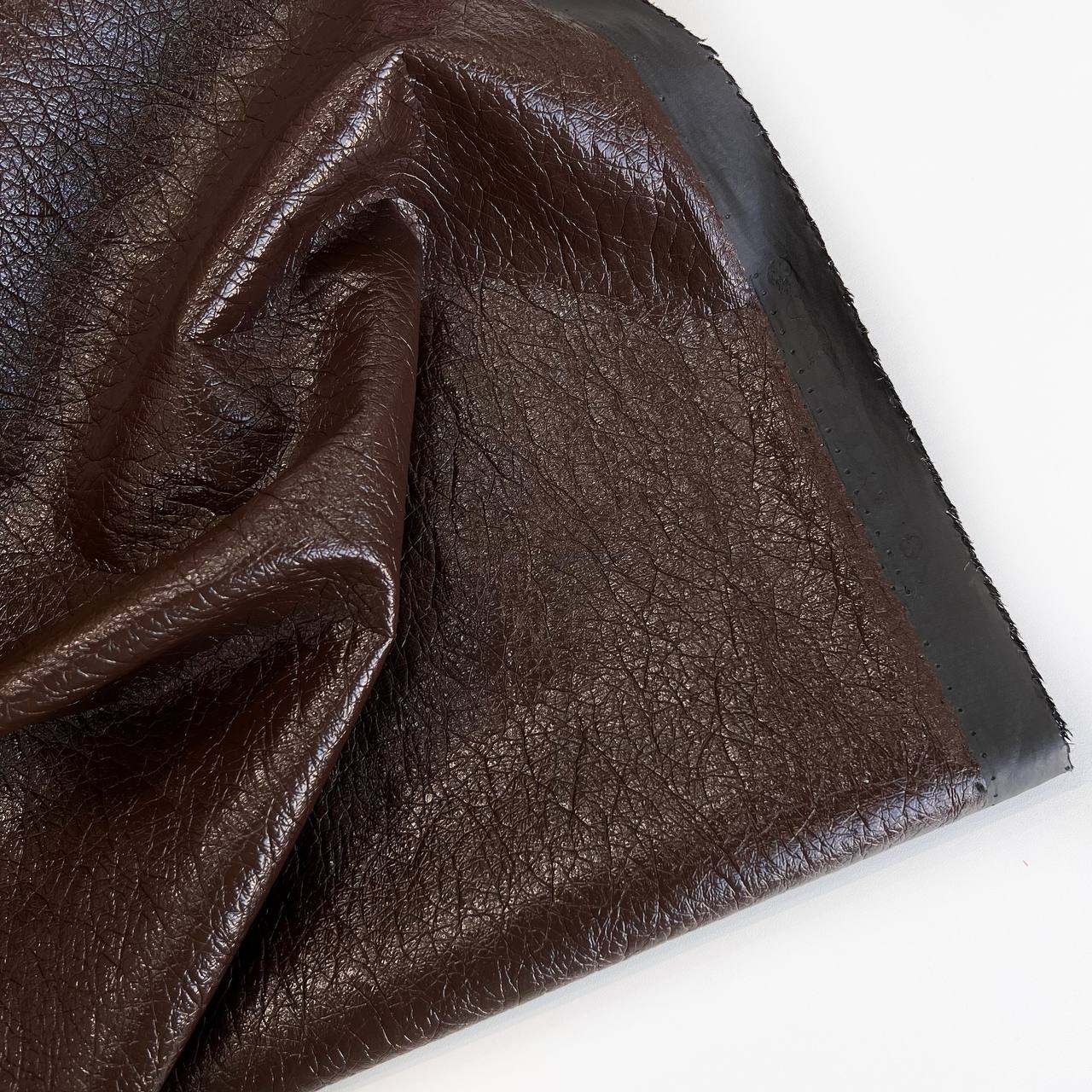 photo_2026-01-26_14-08-17