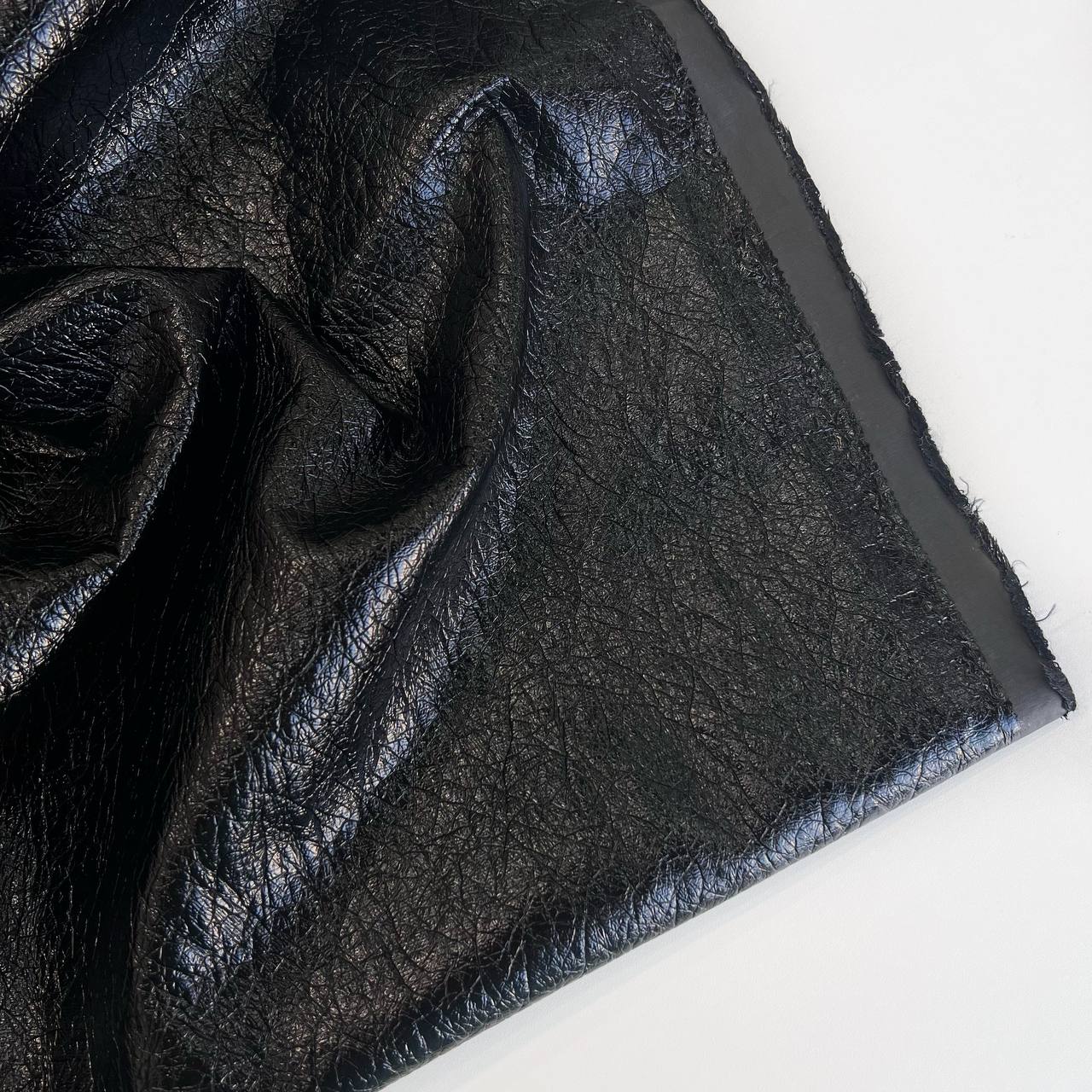 photo_2026-01-26_14-08-19