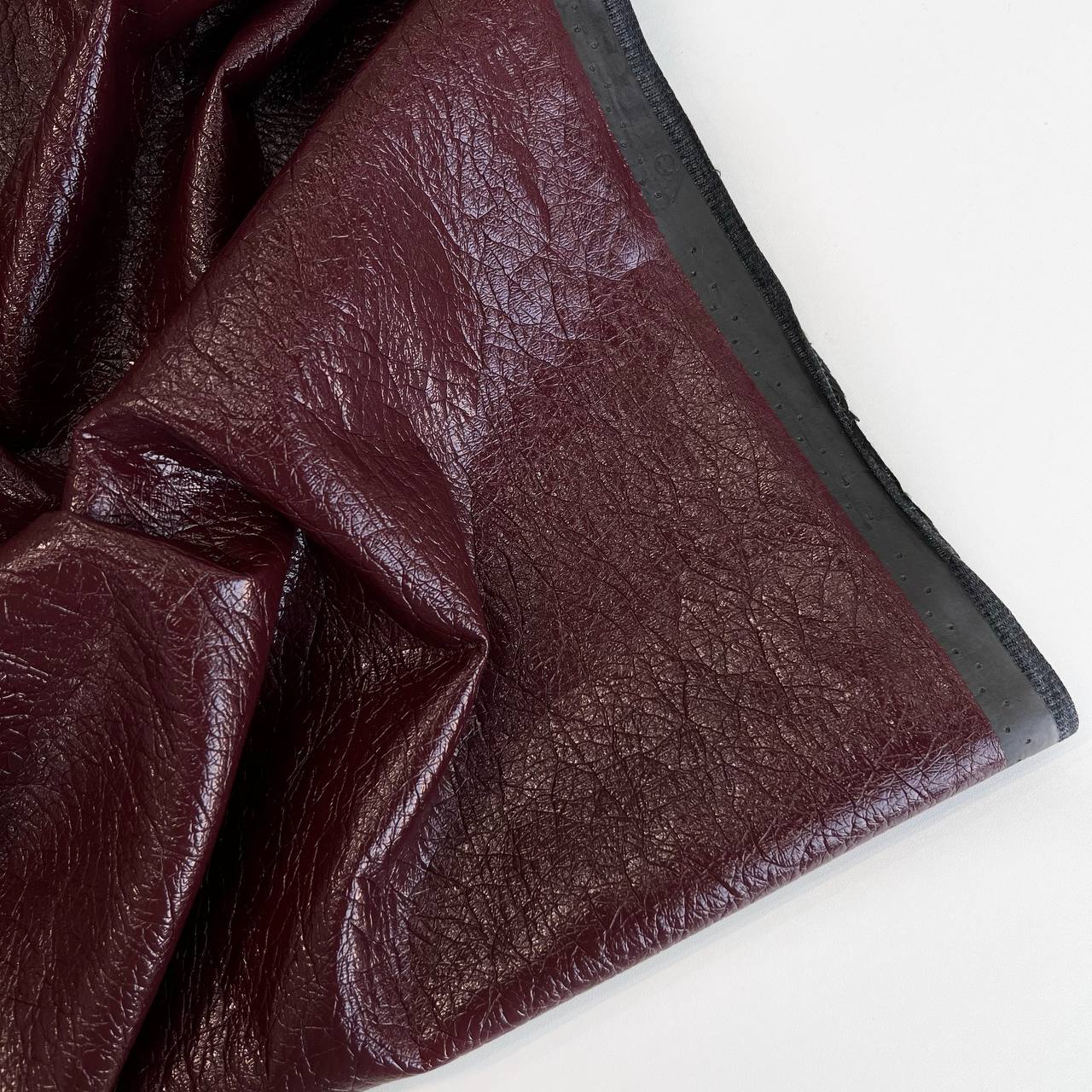 photo_2026-01-26_14-08-21