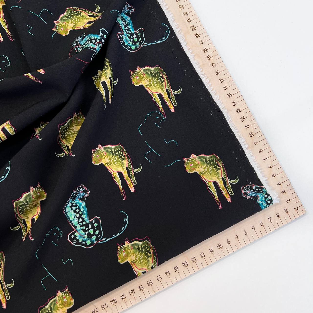 photo_2026-02-03_17-34-31