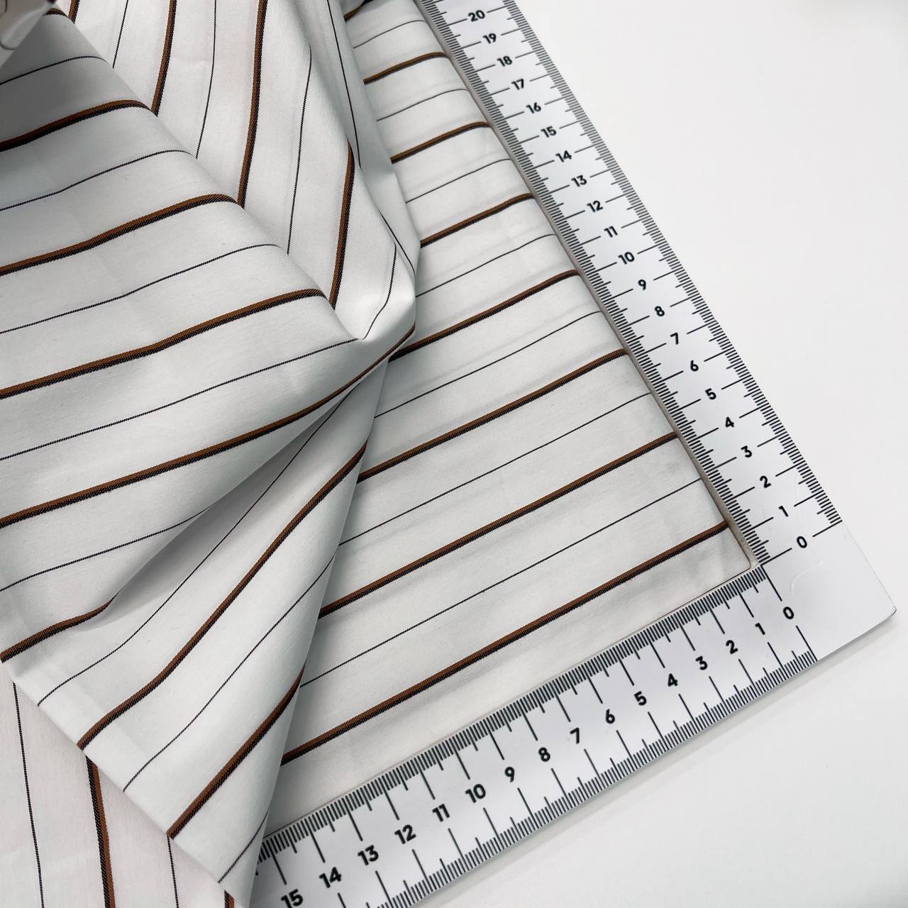 photo_2026-01-30_17-35-49