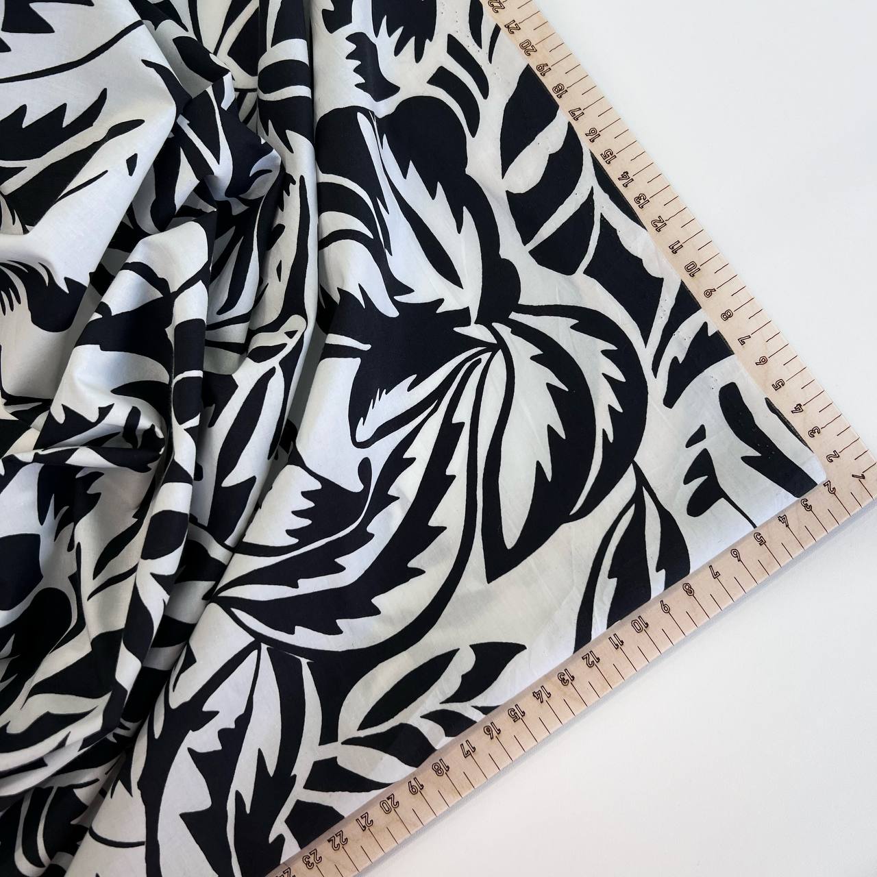 photo_2026-02-05_12-50-16