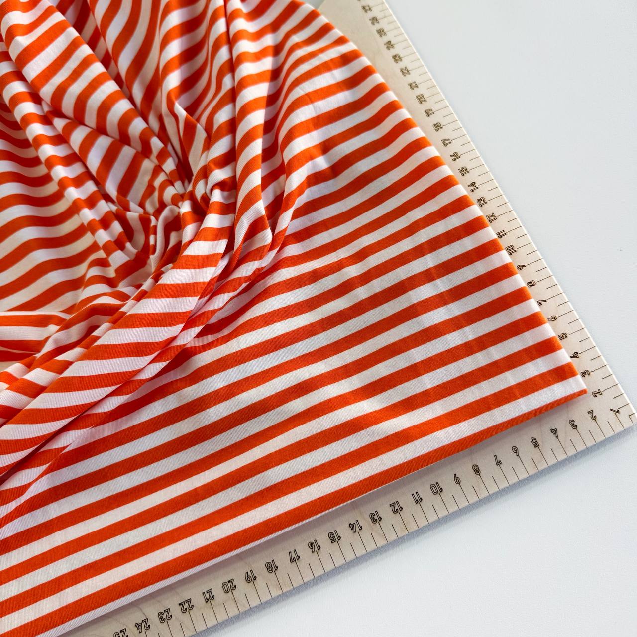 photo_2026-02-05_14-03-20