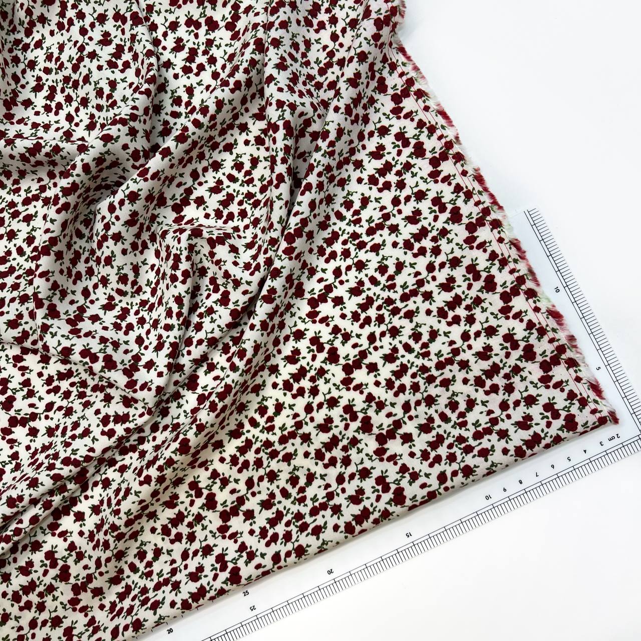 photo_2026-02-10_12-17-58