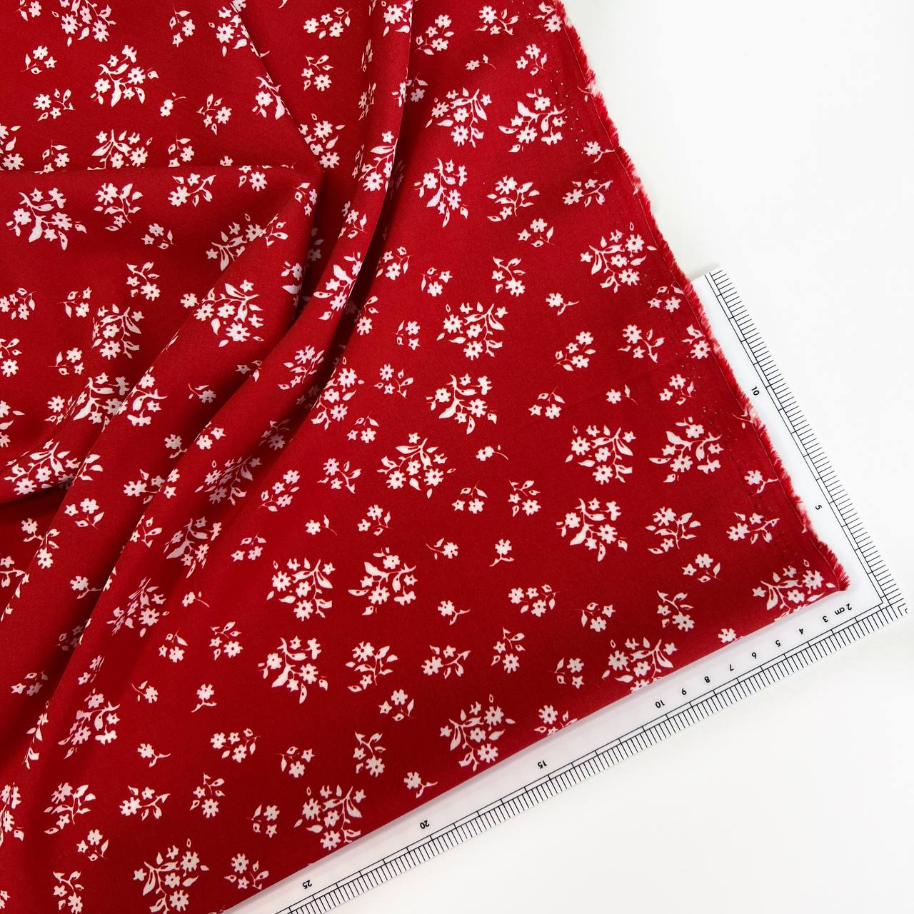 photo_2026-02-10_12-17-23