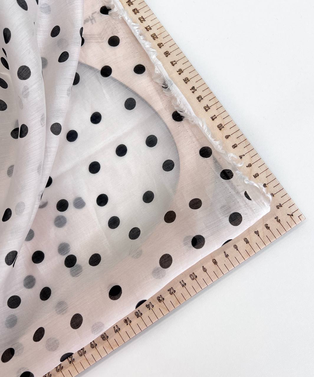 photo_2026-02-11_16-14-10