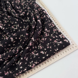 photo_2026-02-12_12-17-45