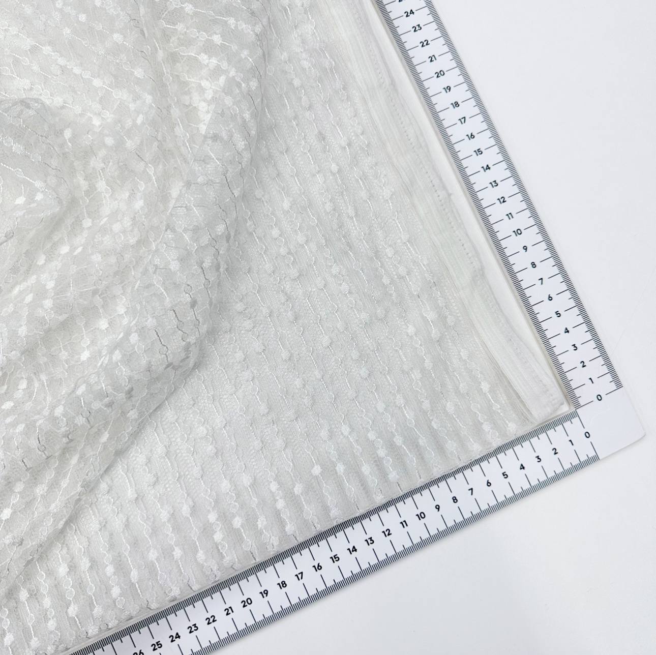 photo_2026-02-19_10-53-50