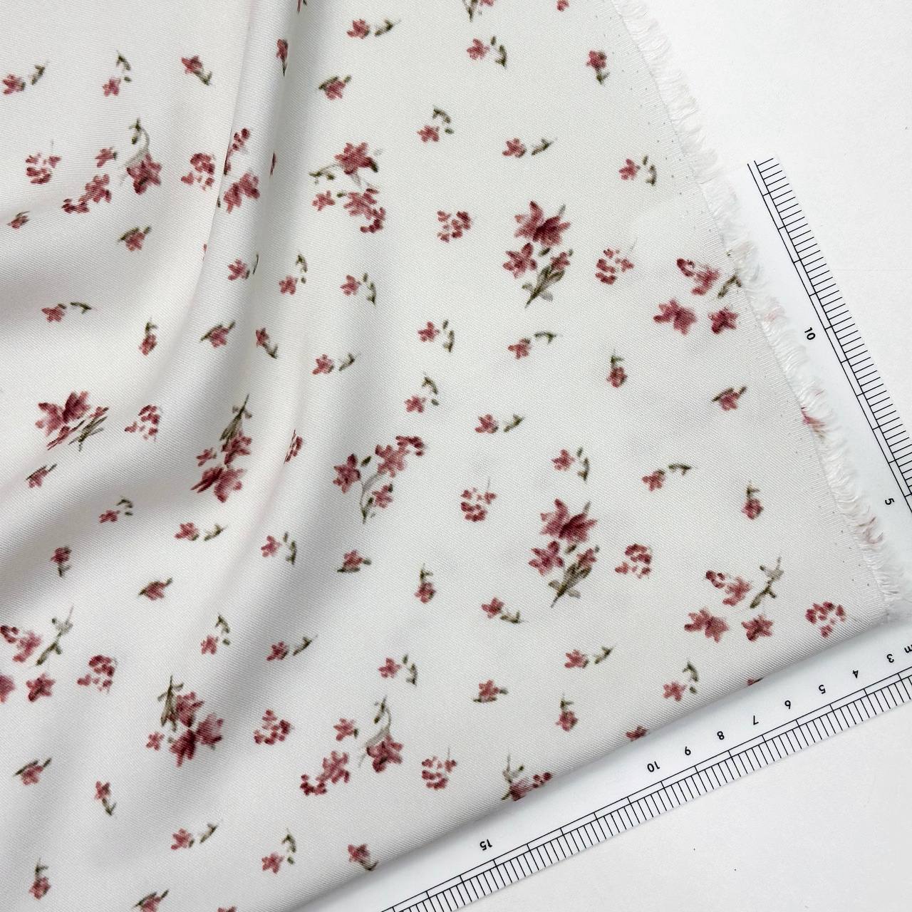 photo_2026-02-19_13-17-35