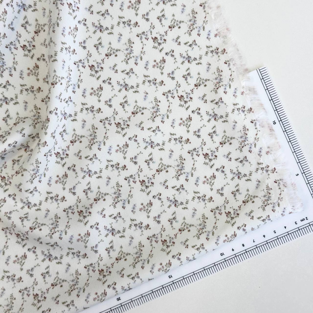 photo_2026-02-20_14-48-54