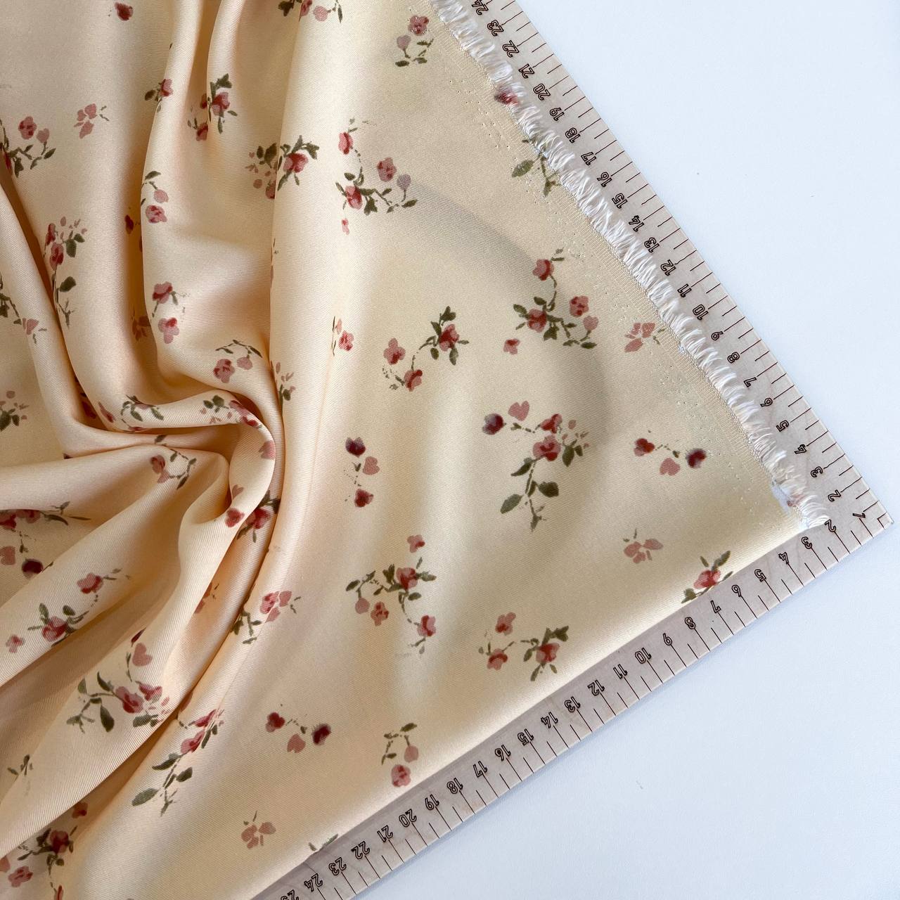 photo_2026-02-23_14-27-33