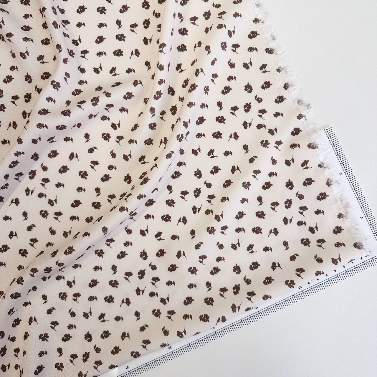 photo_2026-02-24_11-28-07