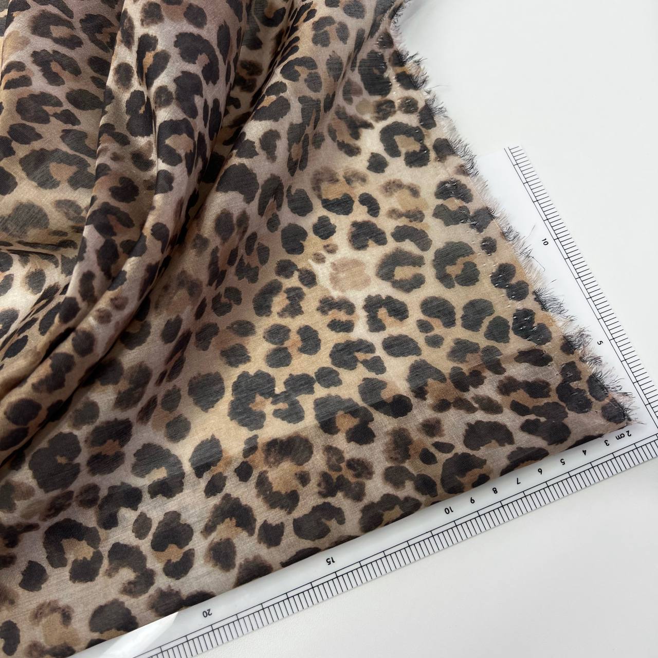 photo_2026-02-26_13-36-40