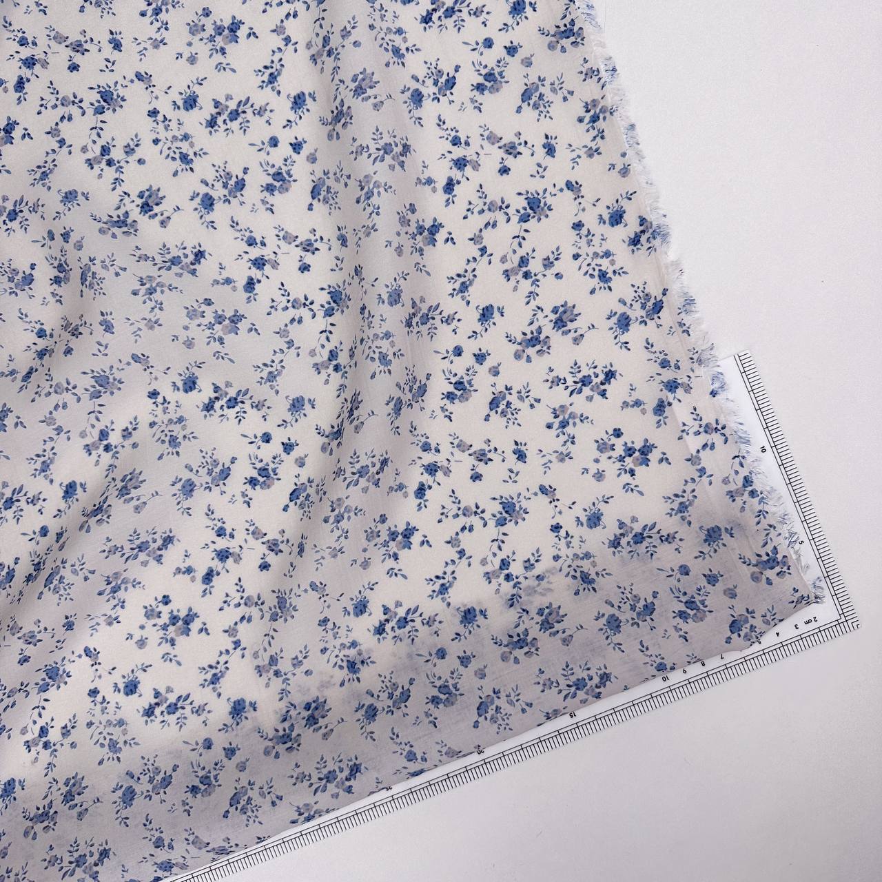 photo_2026-03-17_10-52-33