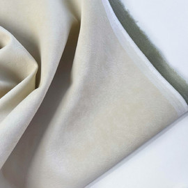 photo_2026-03-21_11-23-35