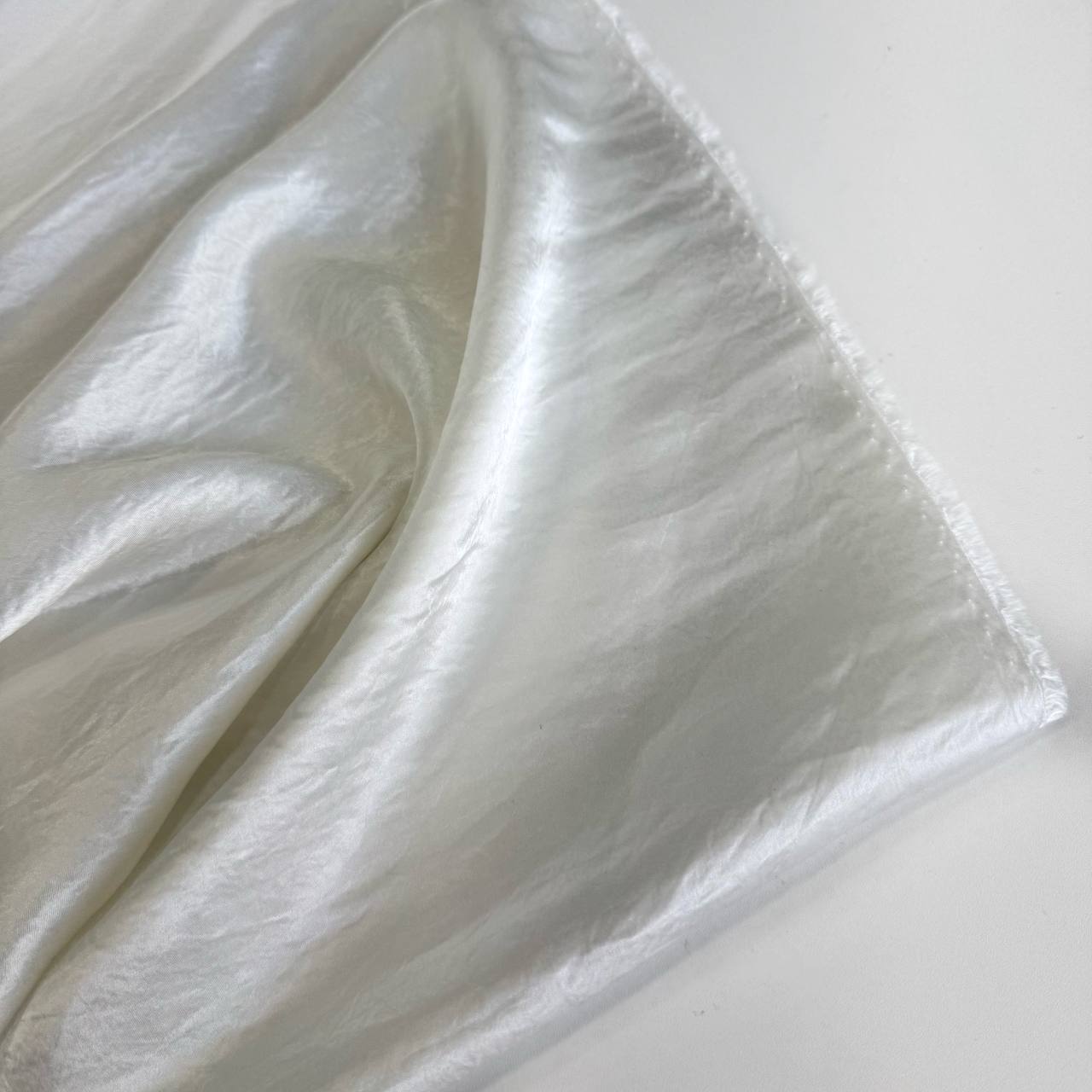 photo_2026-04-08_10-24-29